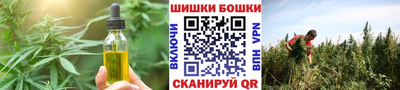 omg ONION  Дыгулыбгей  Canna-Cookies конопля  как найти наркотики 