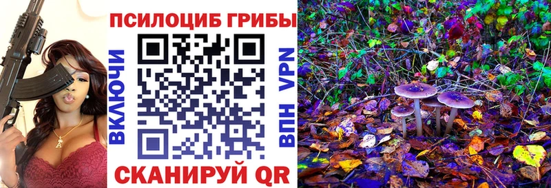 продажа наркотиков  Дыгулыбгей  Псилоцибиновые грибы Magic Shrooms 